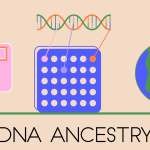 Ancestors’ Tales: Reshaping Family Legends through DNA Deciphering